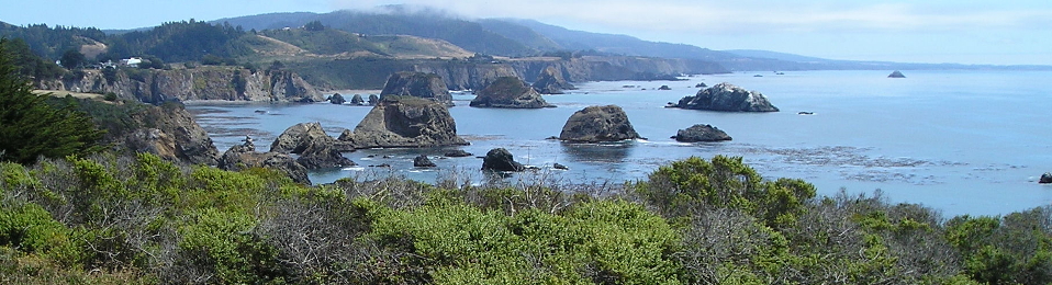 House Of Nails Groningen