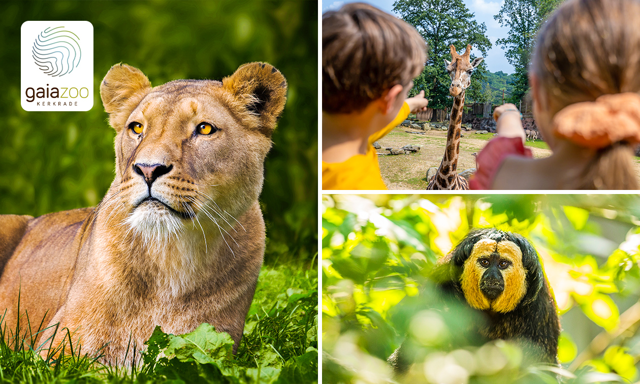 Unique Nails Parkstad